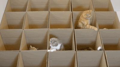 VM Groups and VM Start Ordering in Windows Server Hyper-V