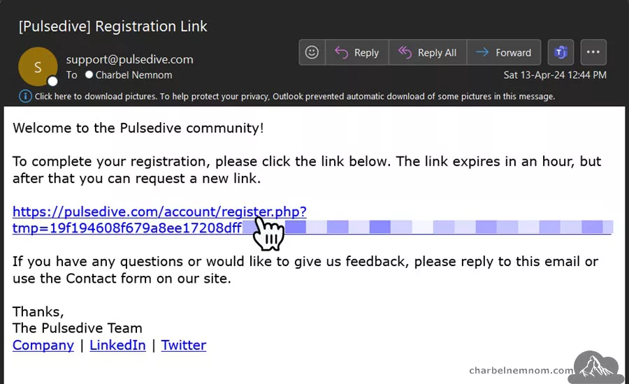 Confirm Pulsedive registration