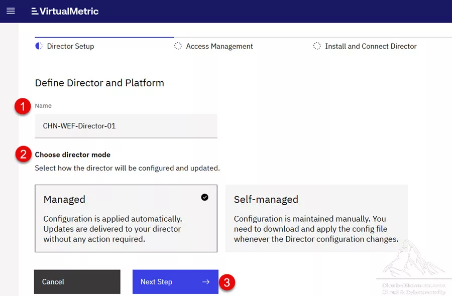 Define Director and Platform
