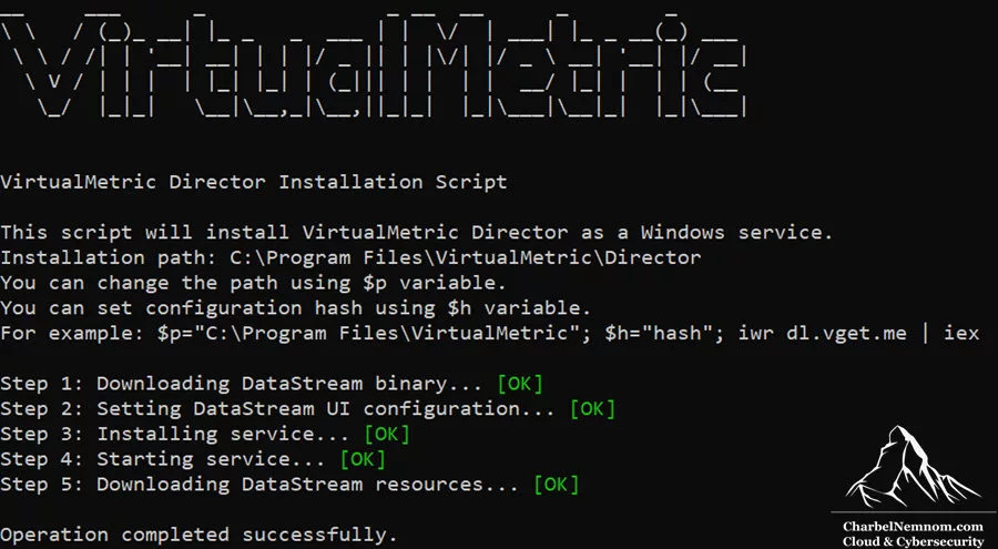 VirtualMetric Director Installation Script