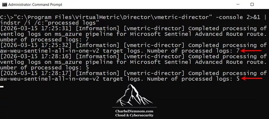 VirtualMetric Director console logs