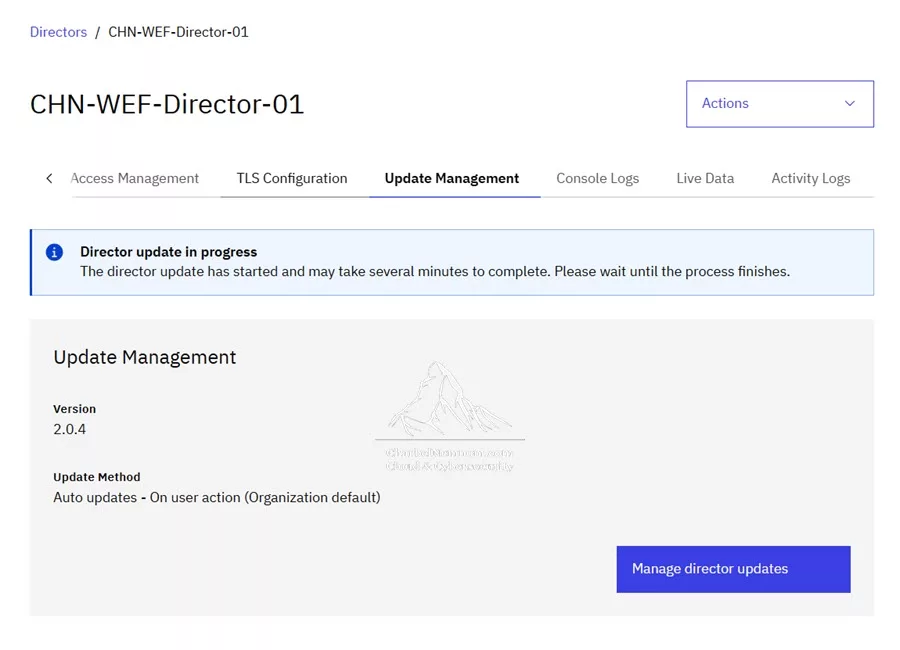 VirtualMetric DataStream Director connected and enabled