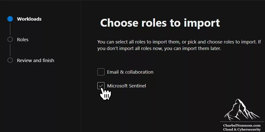 Import roles > Select Microsoft Sentinel as the workload