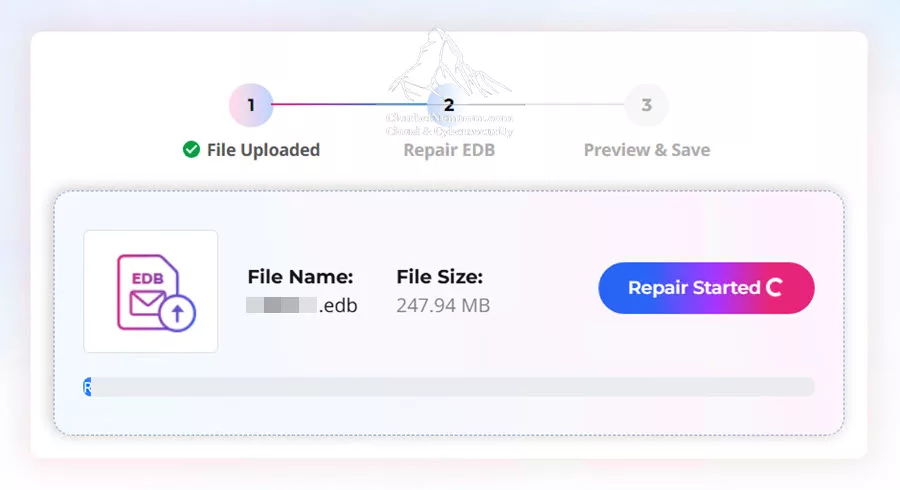 Online Exchange Database Repair: Comparing Stellar’s Online Service and Desktop Software 5 Repairing the uploaded Exchange database